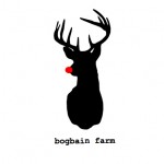 xmasbogbain